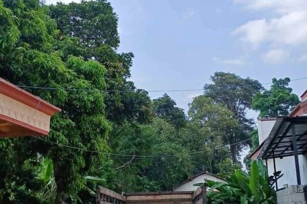 Galeri Nirwana Lokha Persada 1