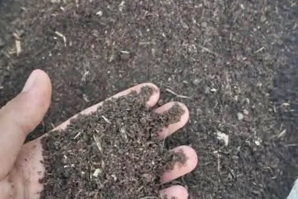 Galeri Nirwana Lokha Persada 4