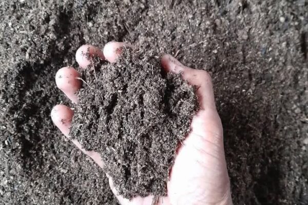 Galeri Nirwana Lokha Persada 5