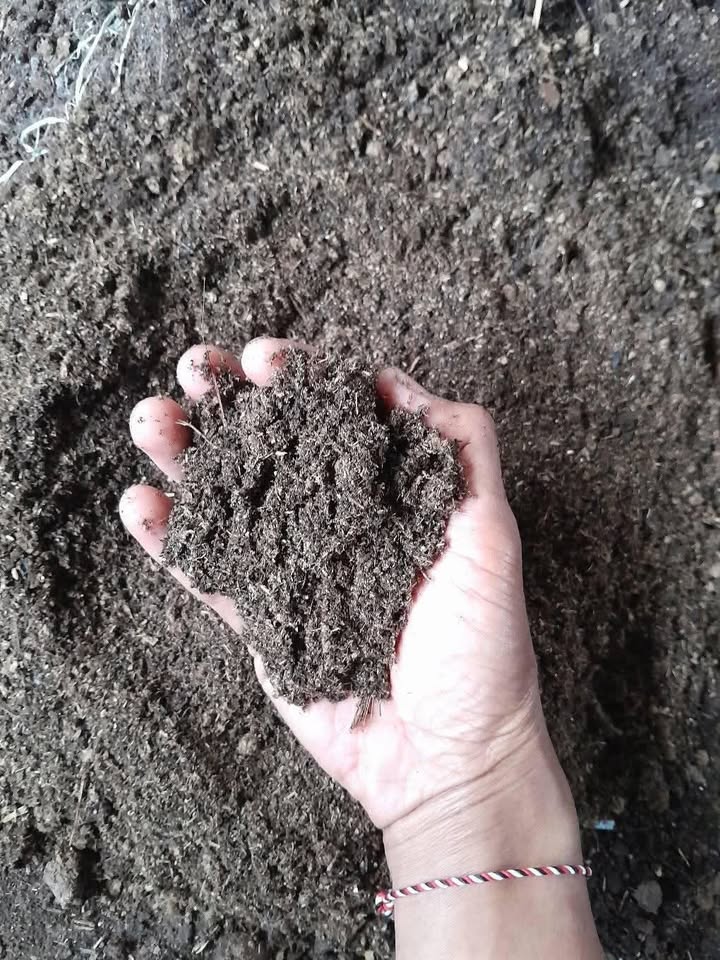 Galeri Nirwana Lokha Persada 5